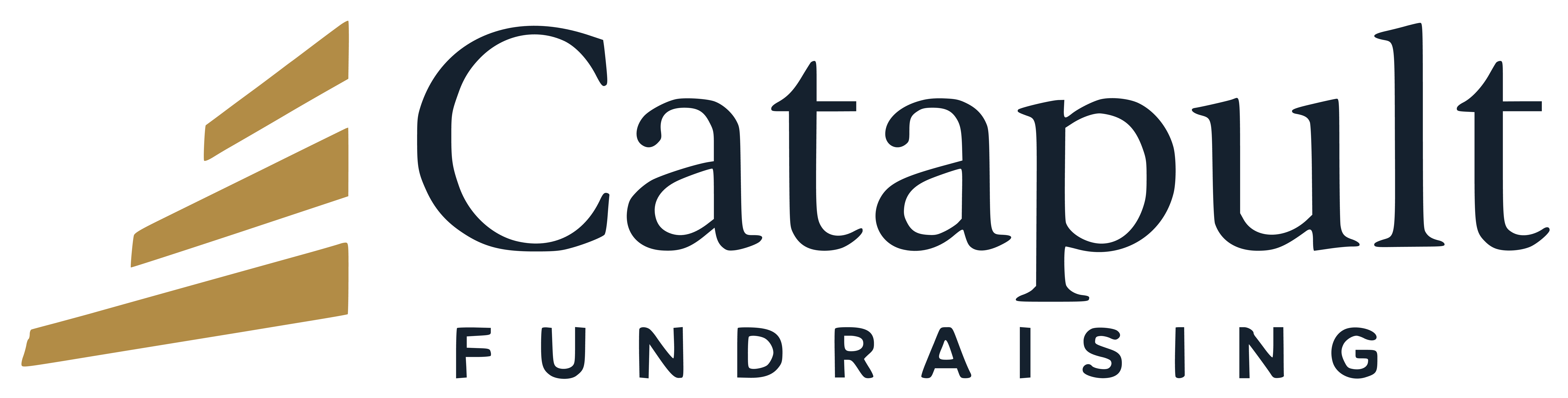 Catapult Fundraising